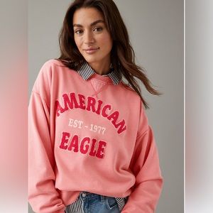 NWT AMERICAN EAGLE 🦅 LOGO CREWNECK SWEATER